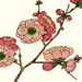 Gentatsu Matsuoka Gallery